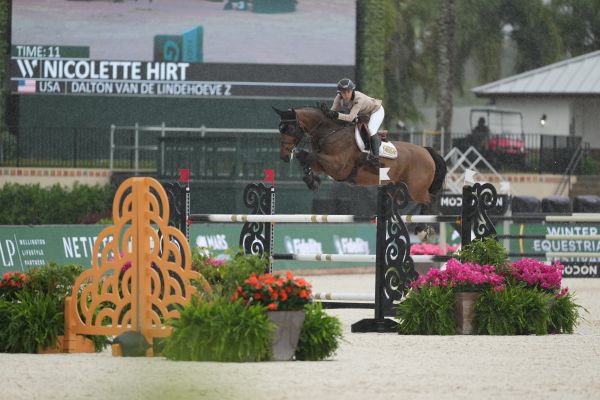 Dalton Van De Lindehoeve Z - Nicolette Hirt -  &copy;Sportfot