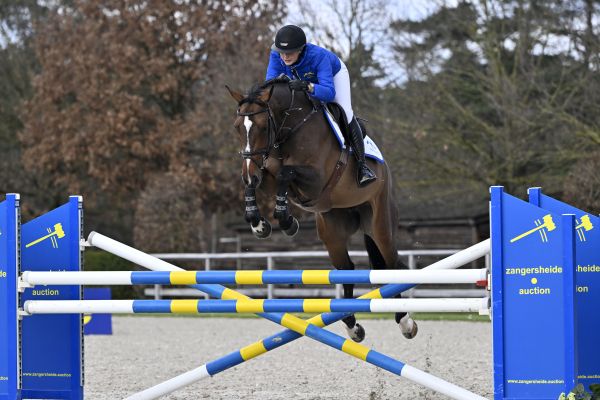 DAPHNE Z 1 DAPHNE Z 1