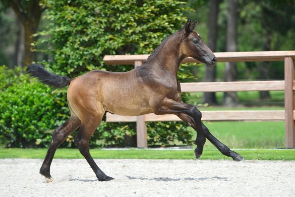 20200620-ga70377-1 20200620-ga70377-1