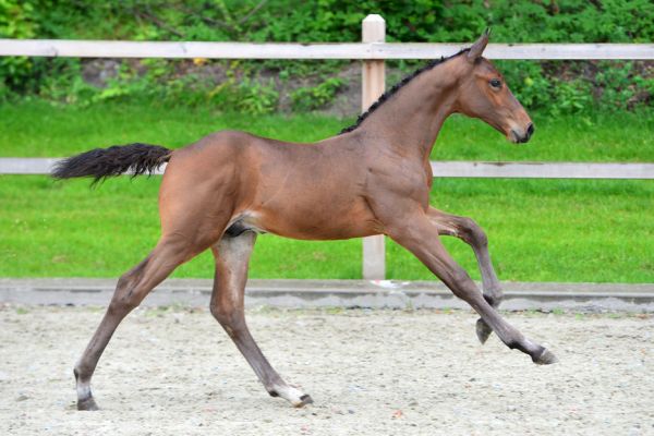 20200704-ga77701-1 20200704-ga77701-1