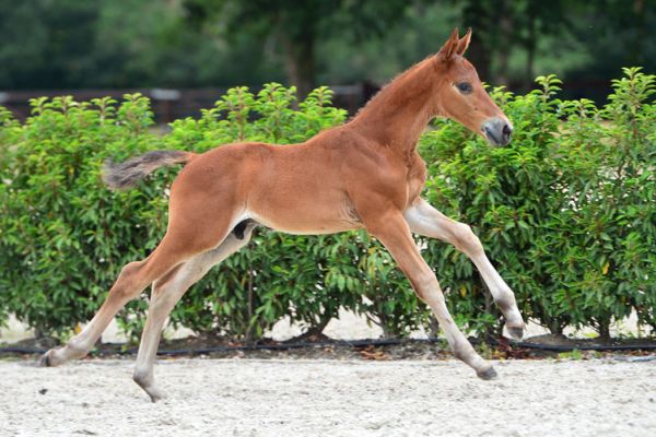 20200725-ga77565-1 20200725-ga77565-1