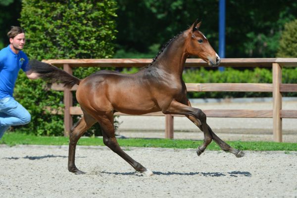 10-20200613-ga76319-1 10-20200613-ga76319-1