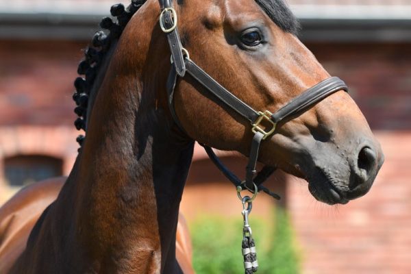 20200624-ga67466-attack 20200624-ga67466-attack