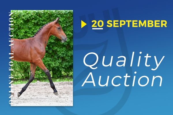 veiling-67_foto veiling-67_foto