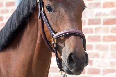 20170615-b-27685 20170615-b-27685