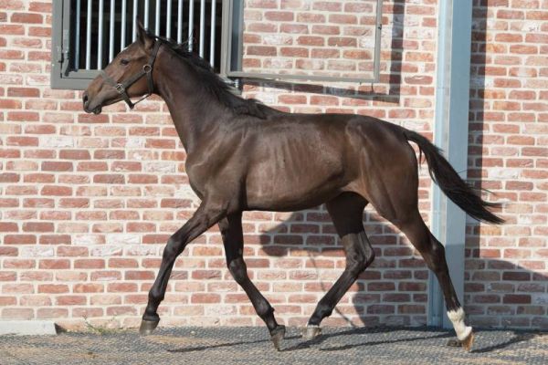 20170615-b-27917 20170615-b-27917