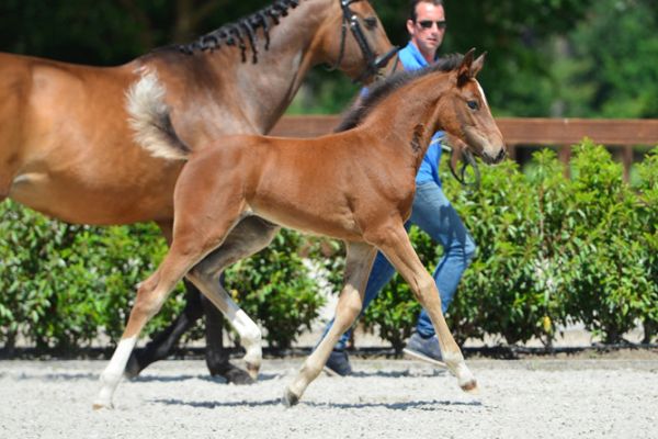 20200620-ga79689-1 20200620-ga79689-1