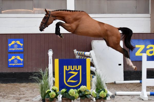 20200710-ga69981-anemoon 20200710-ga69981-anemoon