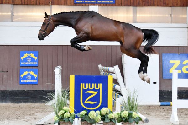 20200710-ga60461-nairobi 20200710-ga60461-nairobi