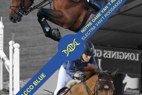 Embryo Chacco Blue x Notre Dame van 't Roosakker Embryo Chacco Blue x Notre Dame van 't Roosakker