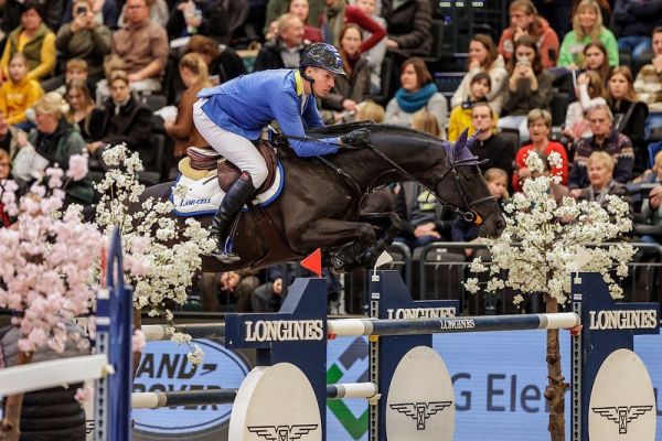 Solid Gold Z Solid Gold Z