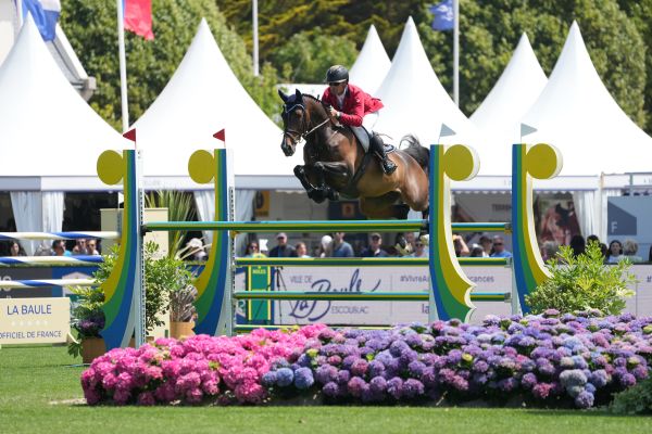 Scarlina de Tiji Z - Pius Schwizer - ©Sportfot (2) Scarlina de Tiji Z - Pius Schwizer - ©Sportfot (2)