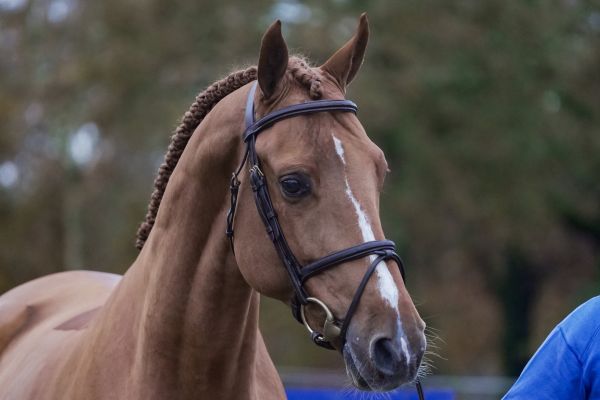 DSC09303-2 DSC09303-2