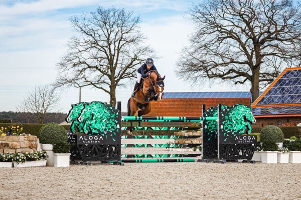 sold for 1.900.000€ Nikora TSH