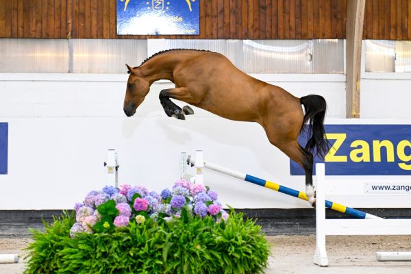 Dirty Diana TD Z  Dirty Diana TD Z