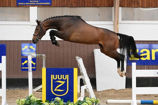 Tequila van het Reigersnest Z Tequila van het Reigersnest Z