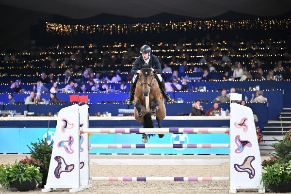 El Bandito BPH Z - Dries Dekkers - &copy;Paardenfotograaf