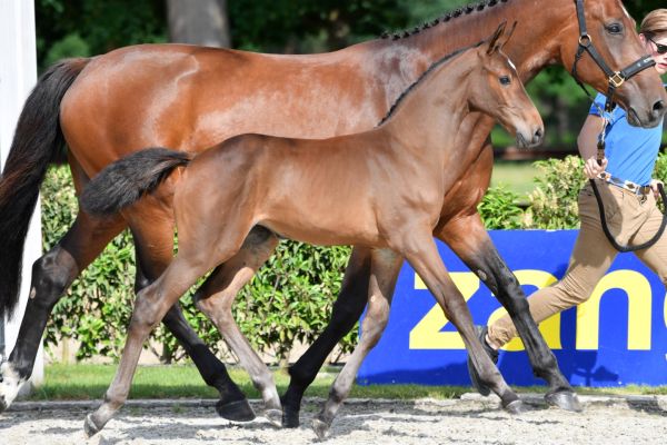 20210619-ga60752-2-large-35 20210619-ga60752-2-large-35