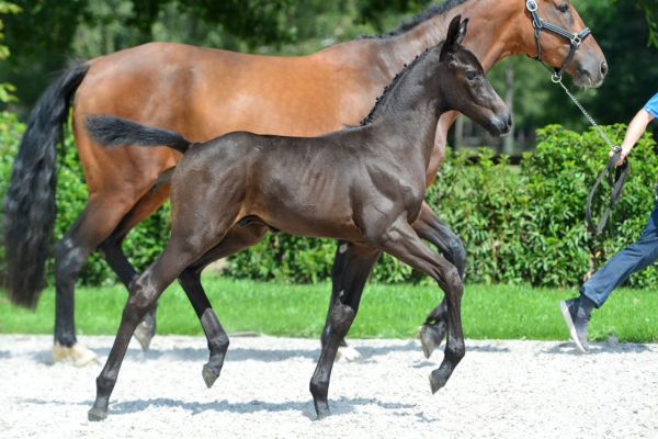 20200719-ga74738-1 20200719-ga74738-1