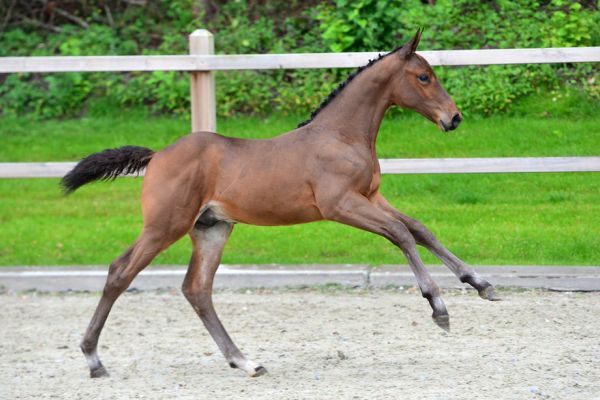 20200704-ga77699-1 20200704-ga77699-1