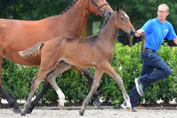 20200725-ga75896-1 20200725-ga75896-1