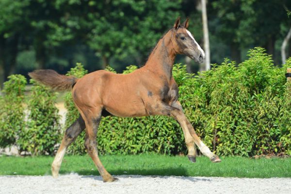 20200719-ga72262-1 20200719-ga72262-1