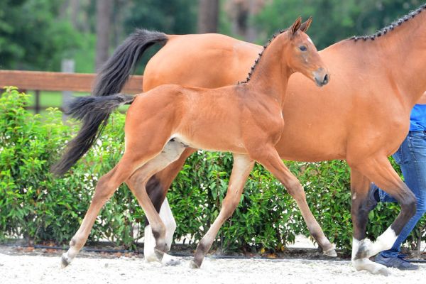 20200717-ga77918-1 20200717-ga77918-1