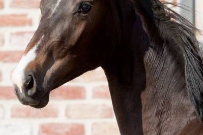 20170615-b-27865 20170615-b-27865