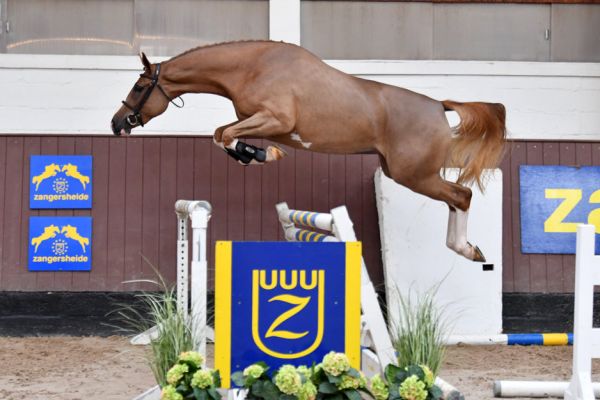 20200710-ga60044-cash-flow 20200710-ga60044-cash-flow