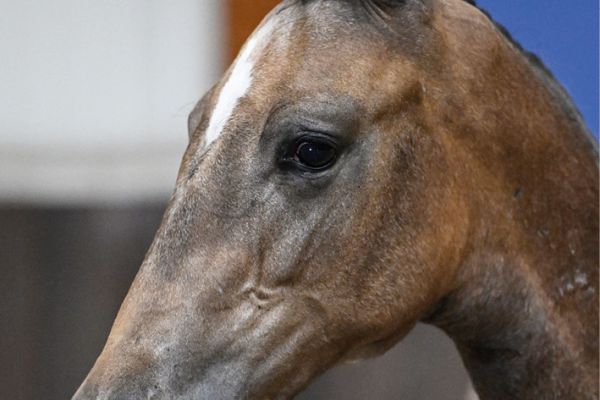 82 Clooney A & S Z 82 Clooney A & S Z