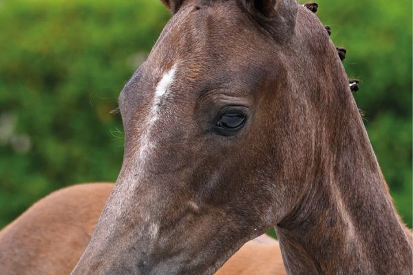 50 Eres Tu de Regor Z 50 Eres Tu de Regor Z