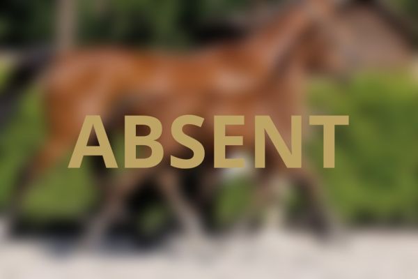 Ayrton O Z Ayrton O Z