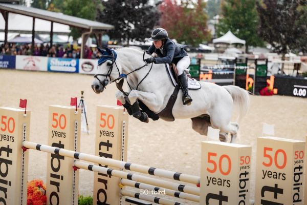 380928853_686040153558274_794161935417129232_n 380928853_686040153558274_794161935417129232_n