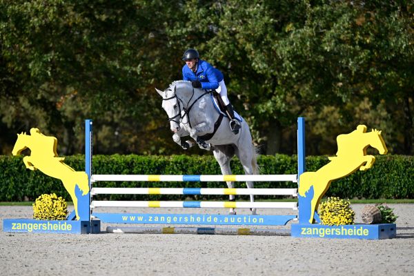 Coco Jambo Z Coco Jambo Z