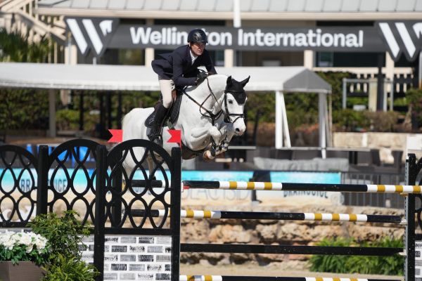 Amiro B Z - Beat Mändli Amiro B Z - Beat Mändli