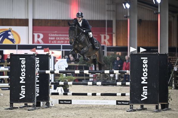 Destiny Van De Kapel Z - Pieter van Den Bergh - ©Paardenfotograaf