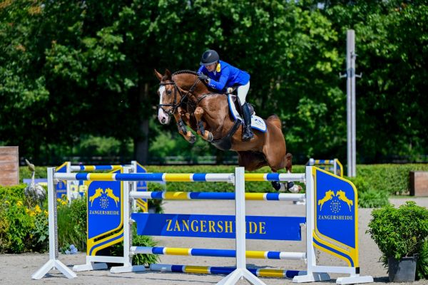 Zangersheide QA - powered by MBA Sold for € 900.000 Ay Caramba Z