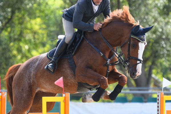 Heavenly Ophelia Z Heavenly Ophelia Z