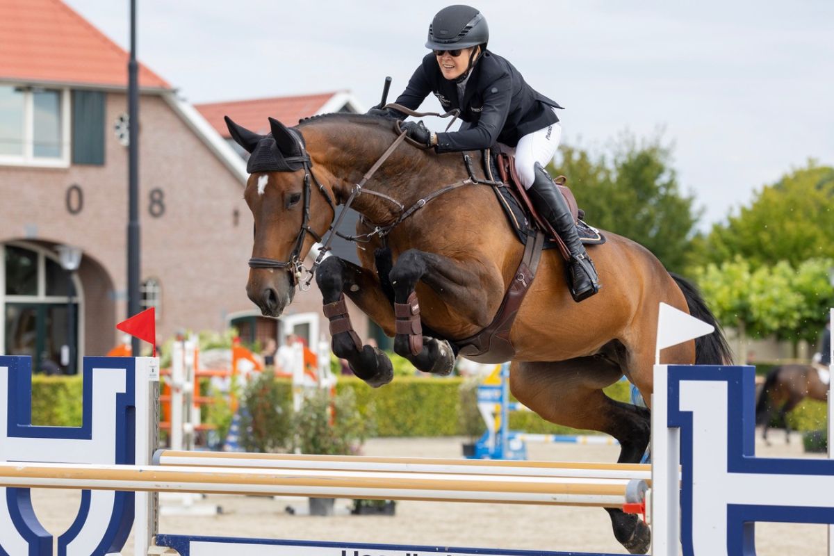Z-horses have strong weekend at CSI Ommen