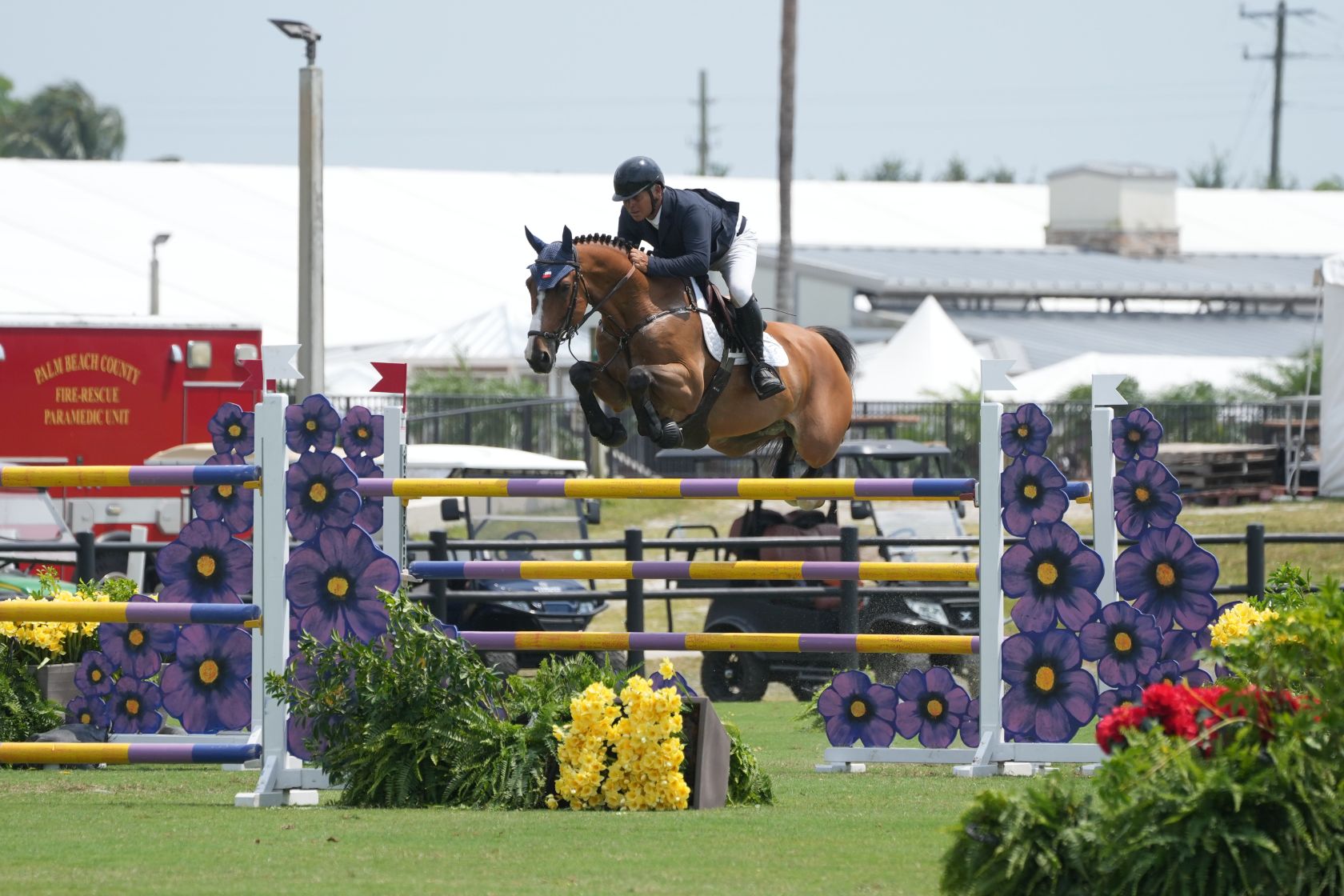 Win for Buga Z in the CSI2* Grand Prix of Coapexpan