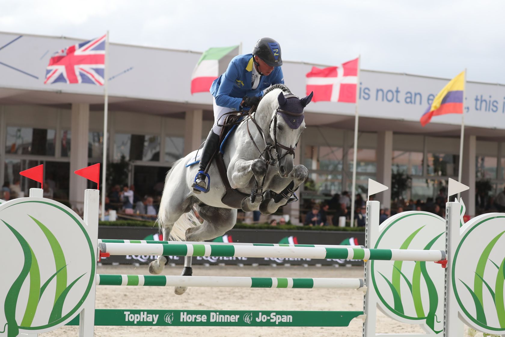 Z stallions in the sport | Zangersheide