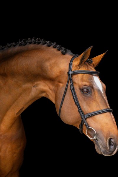 Dieu Merci van T&L Z