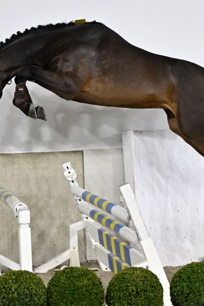 DIDO VH BROEKXHOF DIDO VH BROEKXHOF