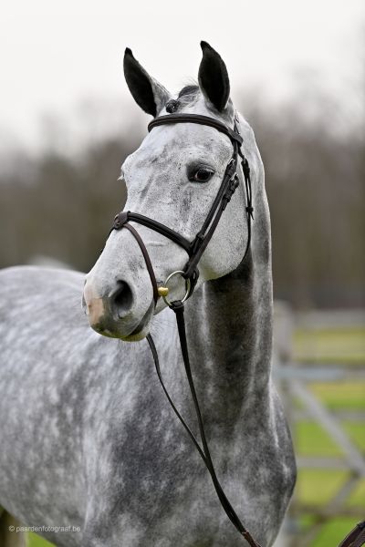 ciclaya-z-18 ciclaya-z-18