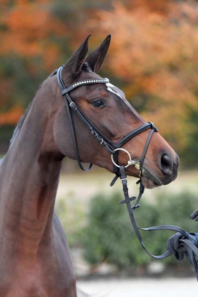 balous-satine-vh-poeleind-z-83 balous-satine-vh-poeleind-z-83