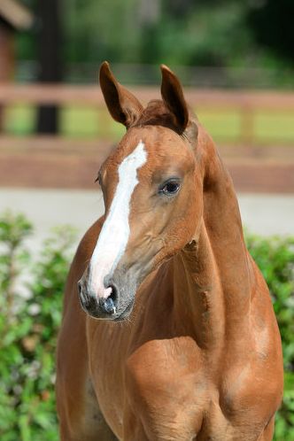 20200726-ga79126-1 20200726-ga79126-1