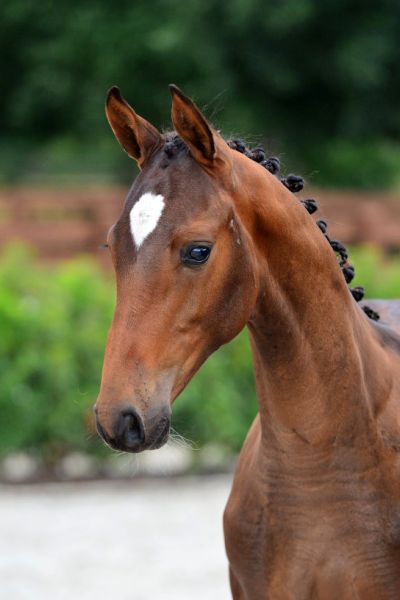 20200725-ga75586-1 20200725-ga75586-1