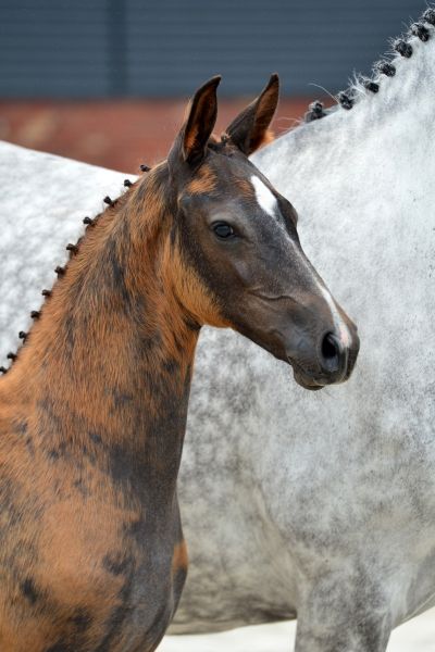 comme-toi-1-large comme-toi-1-large