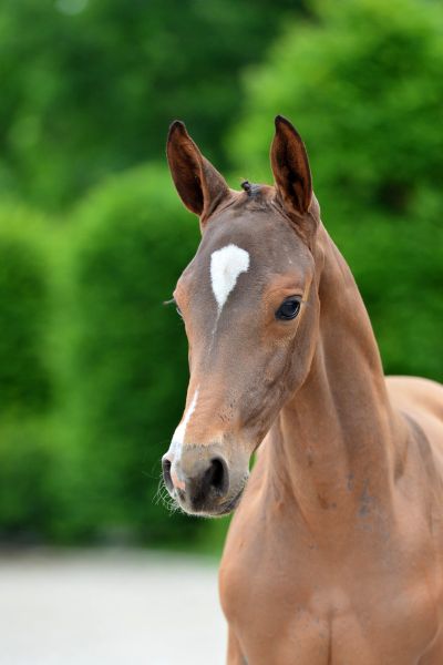 10-2020-03-08-20200523-ga71891-1 10-2020-03-08-20200523-ga71891-1