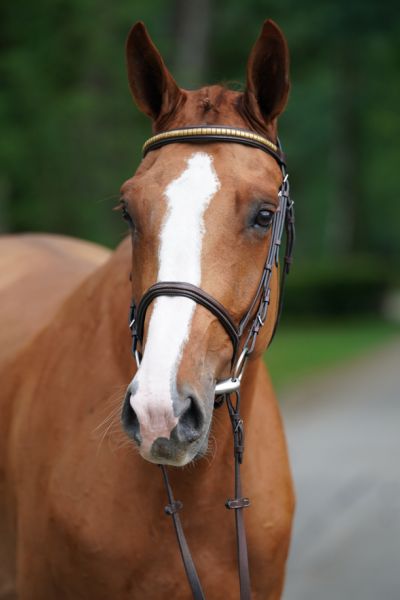 paris-van-t-heike-67 paris-van-t-heike-67